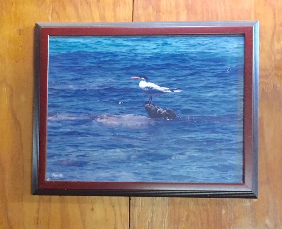 Hotel Dancing Tortugas Aguadilla Exterior foto